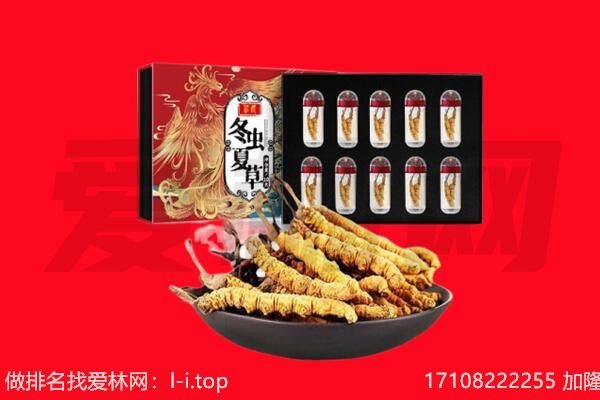 拉萨市堆龙德庆回收虫草.jpg